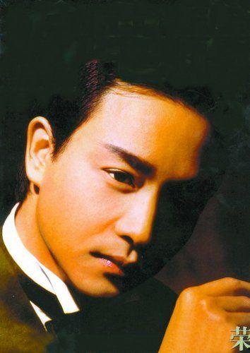 张国荣个人资料图片大全,永恒魅力，光影交织的传奇人生
