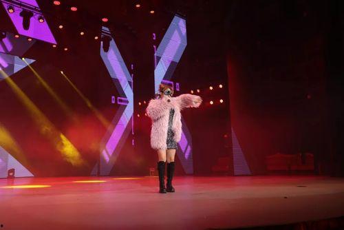 网红艺人汇,璀璨星光下的网络魅力