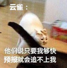 疯狂粉丝表情包,笑翻你的表情盛宴