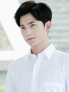 娱乐圈高的男生,娱乐圈高挑男星风采盘点