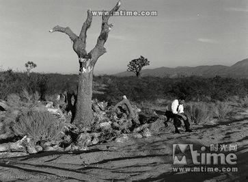 曼根图片,捕捉瞬间，展现生活百态